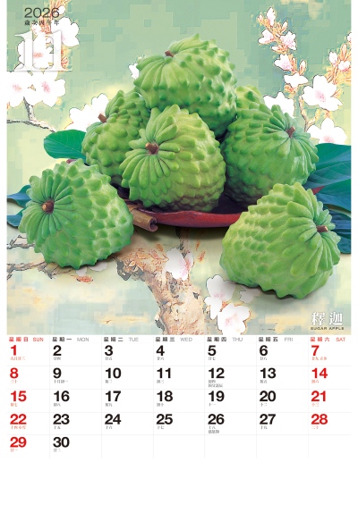 釋迦月曆製作-11月份