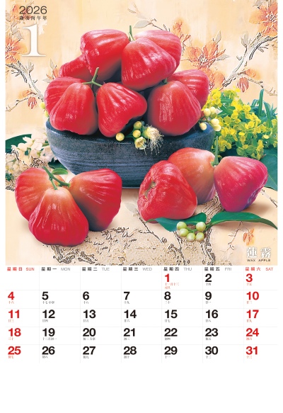 蓮霧月曆製作-1月份