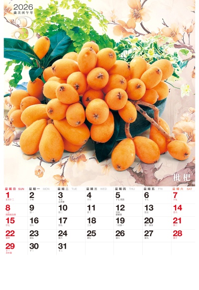 枇杷月曆製作-3月份