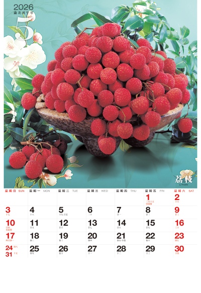 荔枝月曆製作-5月份