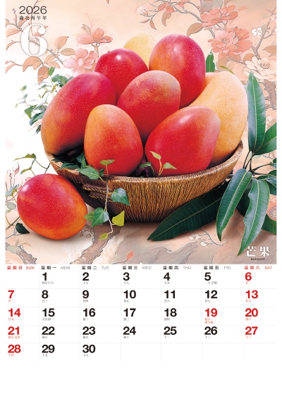 芒果月曆製作-6月份