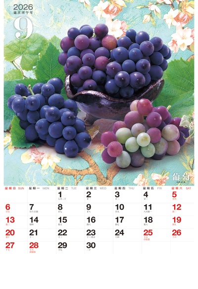 葡萄月曆製作-9月份