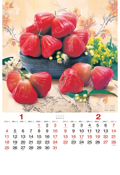 蓮霧月曆製作1-2月份