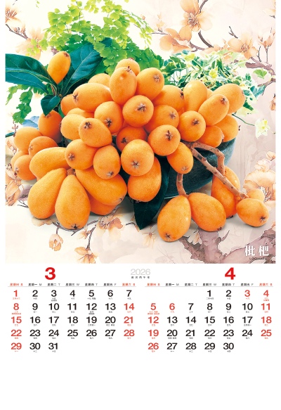 枇杷月曆製作3-4月份