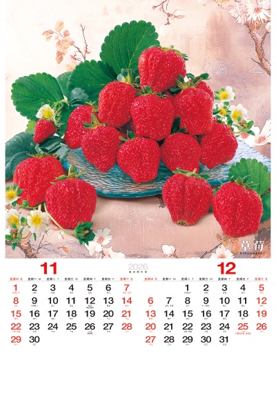 草莓月曆製作11-12月份