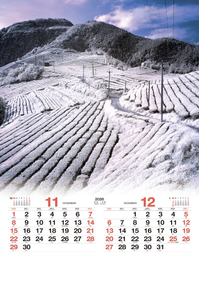 南投茶園月曆製作11-12月份