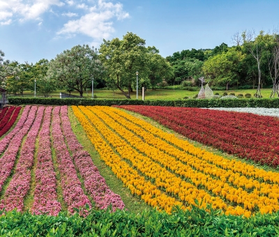 新北北投社三層崎公園月曆製作-3_4月份