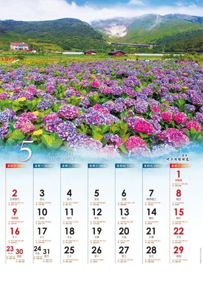 台北竹子湖繡球花月曆製作-5月份