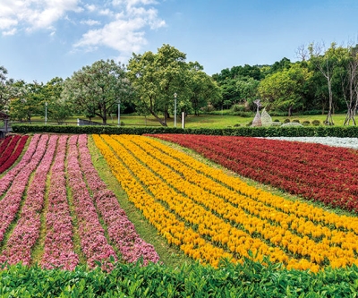 北投社三層崎公園月曆製作-5月份