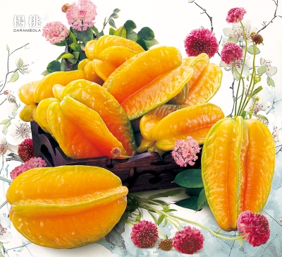 楊桃月曆製作-10月份