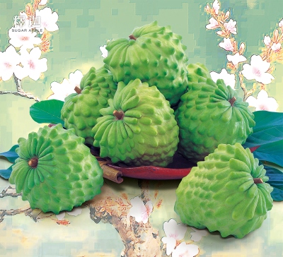 釋迦月曆製作-11月份