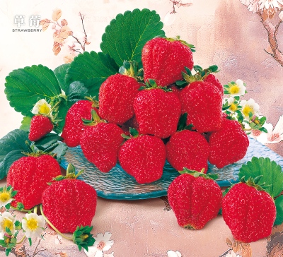 草莓月曆製作-12月份