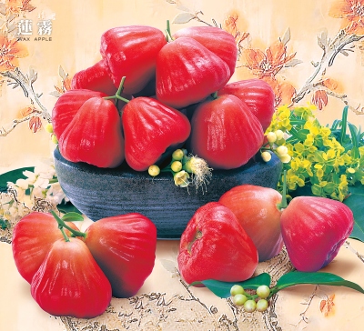 橘子月曆製作-1月份