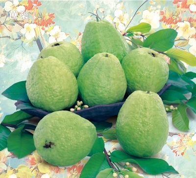 芭樂月曆製作-4月份