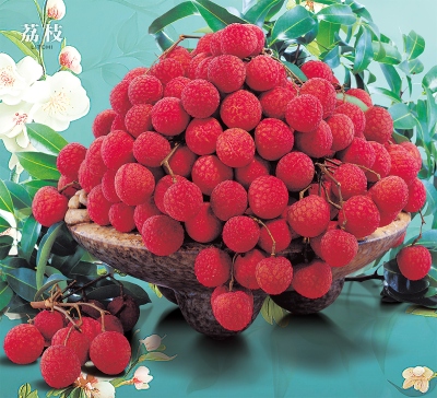 荔枝月曆製作-5月份