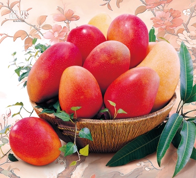 芒果月曆製作-6月份