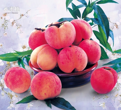 水蜜桃月曆製作-7月份