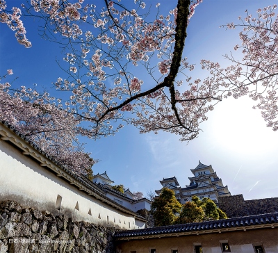 日本姬路城月曆製作-2月份