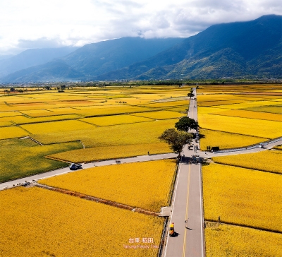 台東稻田月曆製作-7月份