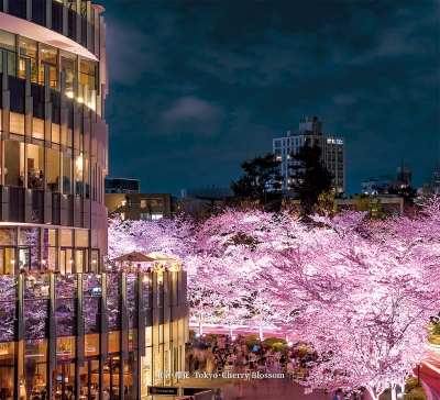 東京櫻花月曆製作-2月份