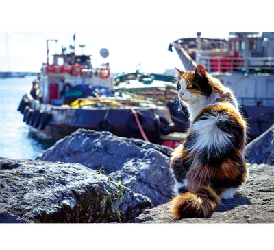 被窩貓月曆製作-3月份