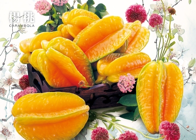 楊桃桌曆製作-10月份