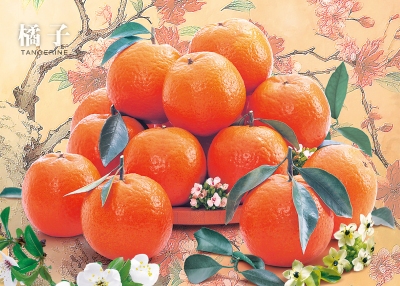 橘子桌曆製作-1月份