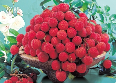 荔枝桌曆製作-5月份