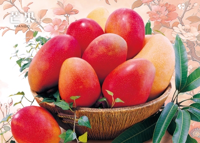 芒果桌曆製作-6月份