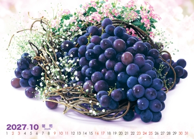 葡萄桌曆製作-10月份
