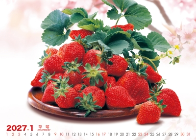 草莓桌曆製作-1月份