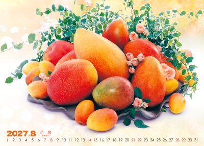 芒果桌曆製作-8月份