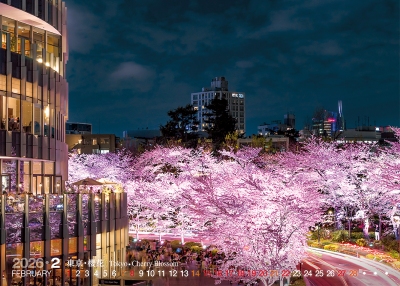 東京櫻花桌曆製作-2月份