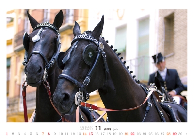 英倫馬桌曆製作-11月份