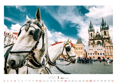 馬年桌曆製作-1月份