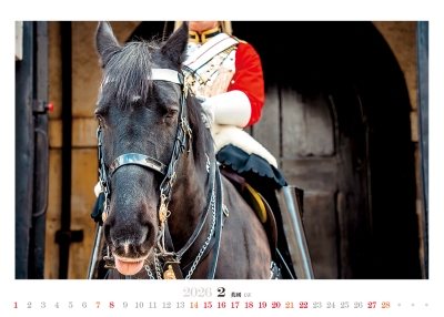 駿馬桌曆製作-2月份