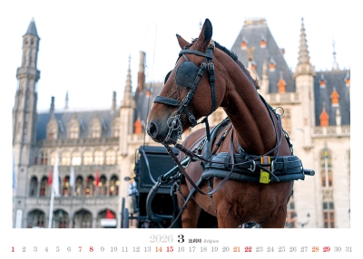 皇家馬桌曆製作-3月份