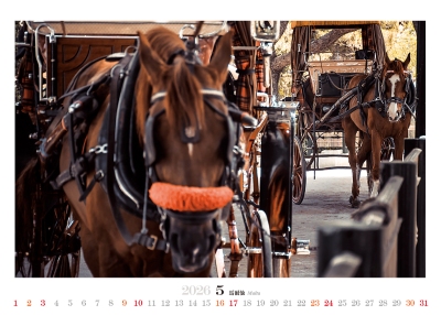 馬年桌曆製作-5月份