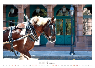 米你馬畫桌曆製作-7月份