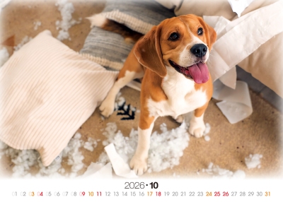 跳耀狗桌曆製作-10月份