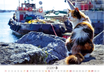 被窩貓桌曆製作-3月份