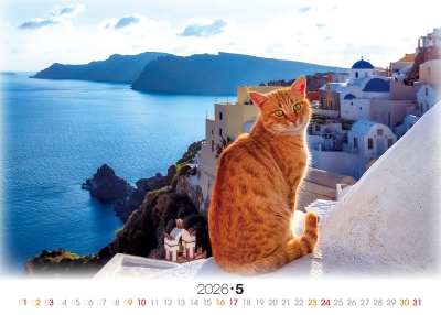 欄杆貓桌曆製作-5月份