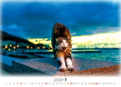 撒嬌貓桌曆製作-7月份