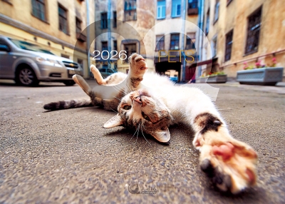 2026桌曆-QQPETS桌曆封面