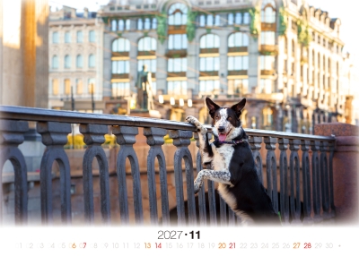 運河旁的牧羊犬桌曆製作-11月份