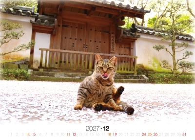 日本庭院的虎斑貓桌曆製作-12月份