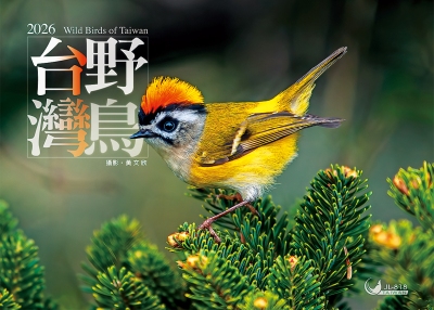 2026桌曆-台灣野鳥桌曆封面