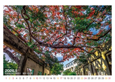 高雄番茄會社鳳凰花桌曆製作-5月份