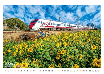 台南後壁太陽花桌曆製作-7月份