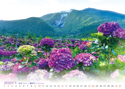 台北繡球花桌曆製作-1月份
